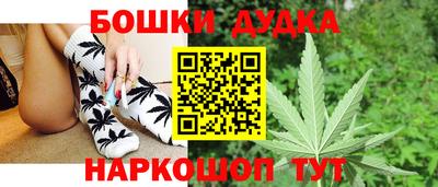 альфа пвп Заводоуковск