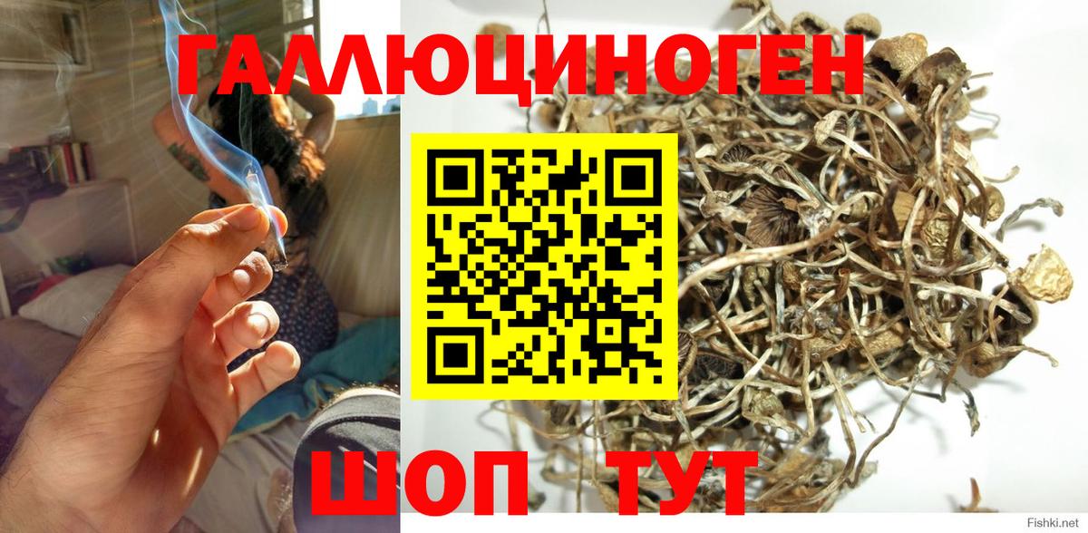 Псилоцибиновые грибы GOLDEN TEACHER Уварово